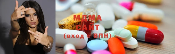 прущие грибы Вязники