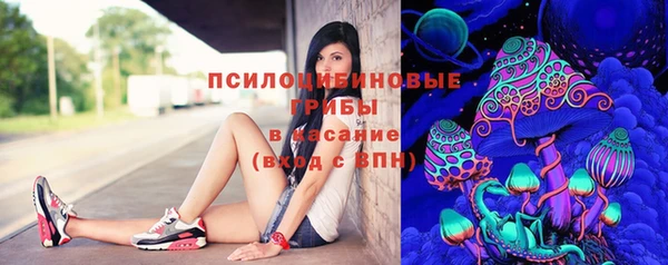 ПСИЛОЦИБИНОВЫЕ ГРИБЫ Кинешма